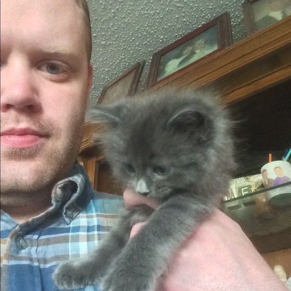 Meet your Posher, Benjamin - Picture 3 of 4